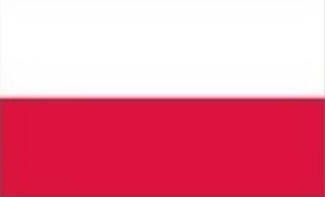 世界杯：波兰提前出局波兰近10场零封对手